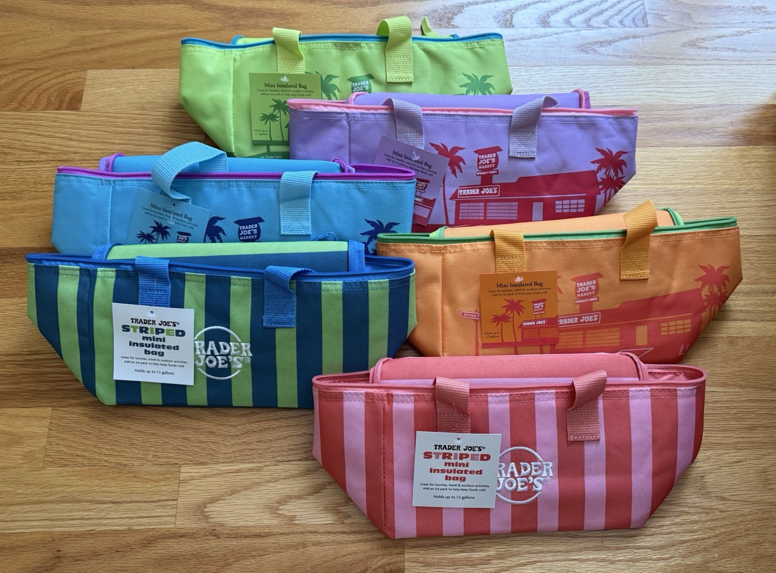 Trader Joe's New 2026 Summer Colors Mini Insulated Lunch Bag Set of 6 NWT gallery
