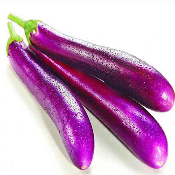 SCARBOROUGH SEEDS EGGPLANT, LONG PURPLE, 200 SEEDS HEIRLOOM, ORGANIC USA gallery