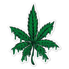 Melting Marijuana Leaf Sticker Decal