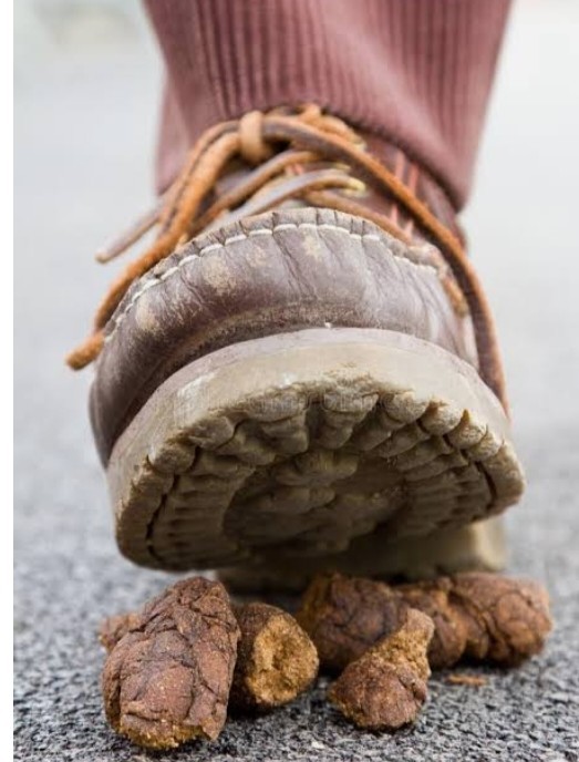 Liquid ASS Butt Crack Fart Spray New💩FREE SHIPPING $11.50 EA. gallery