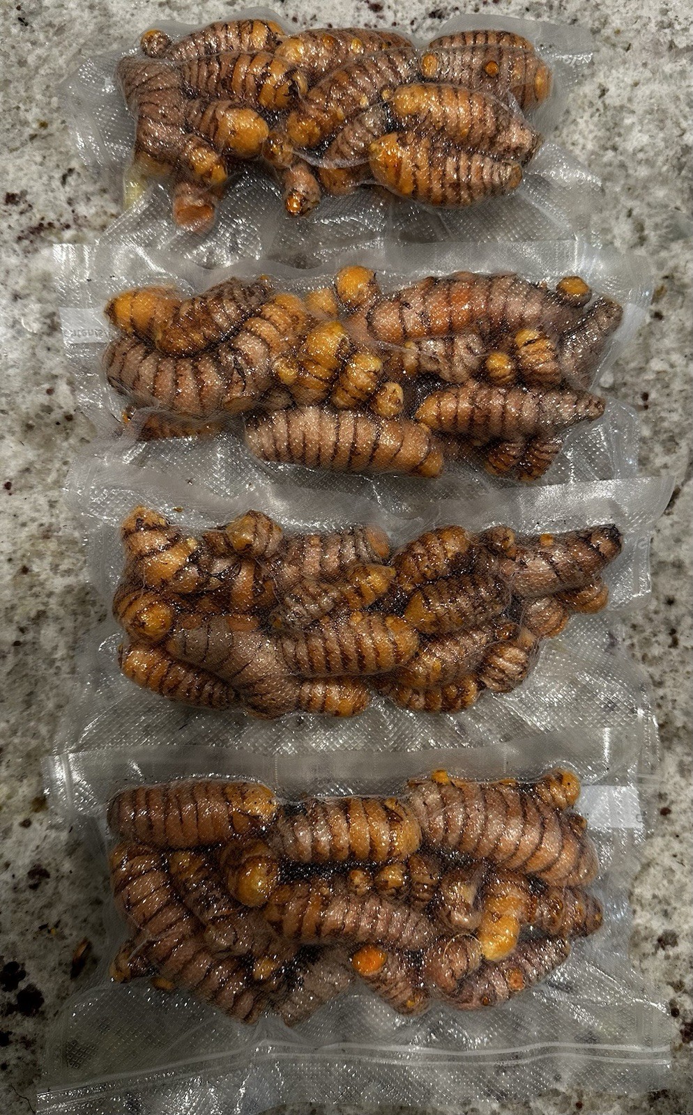 Haldi, Raw Turmeric, Curcumin, Grown In My Backyard using animal manure gallery