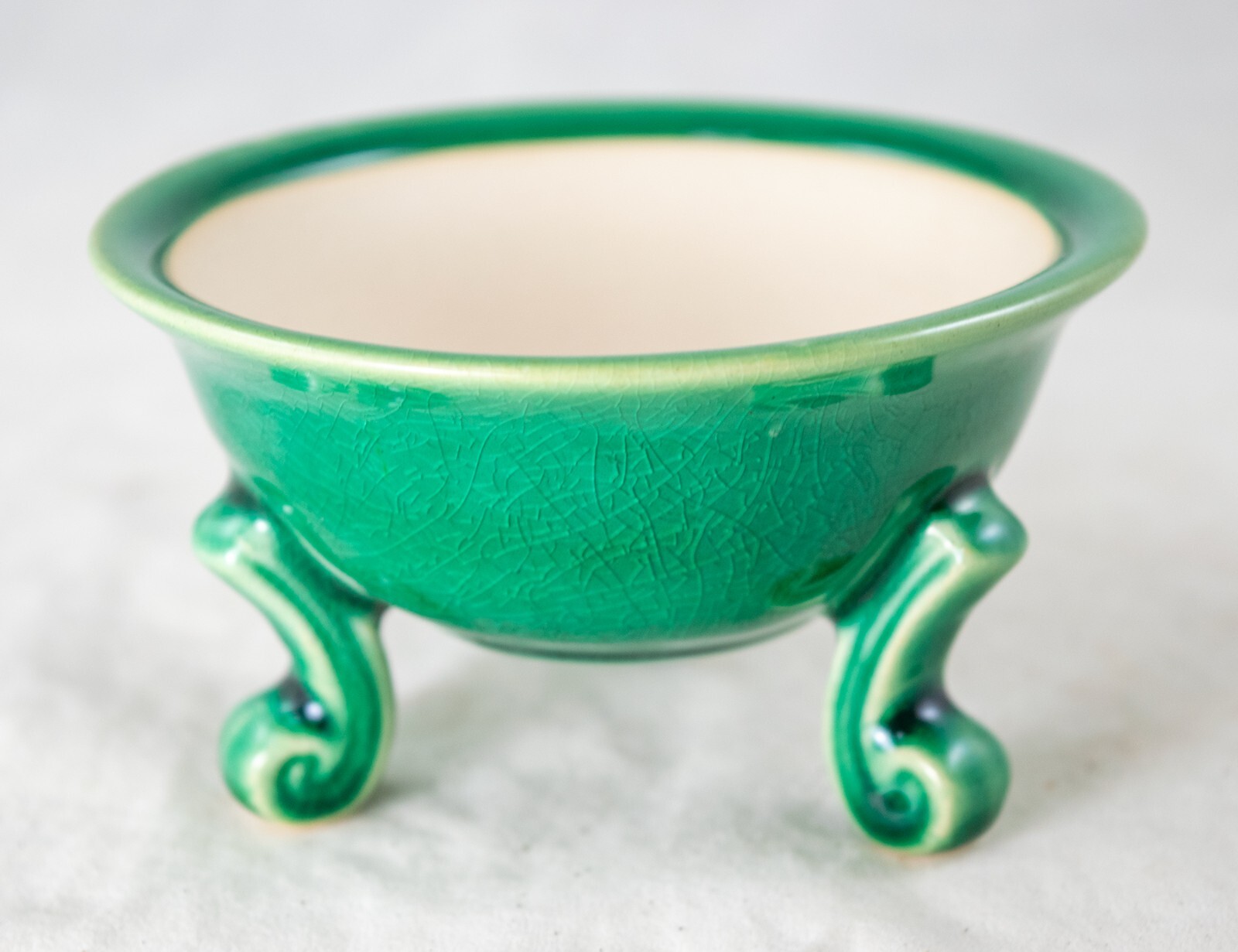 Fine Round Green Cactus & Succulent, Mame Bonsai Pot + Mesh 4.25"x 4.25"x 2.25" gallery
