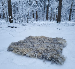 Felted fleece rug