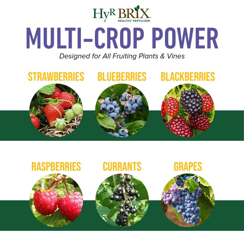 HyR BRIX Slow-Release 6-8-9 Fruit & Berry Fertilizer, 5lb Bucket gallery