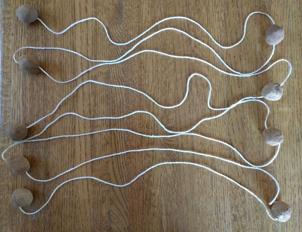 Common Milkweed Pollinator Seed Plot Strings, 9 Seed/Clay balls Per string