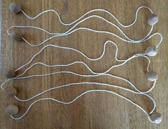 Common Milkweed Pollinator Seed Plot Strings, 9 Seed/Clay balls Per string