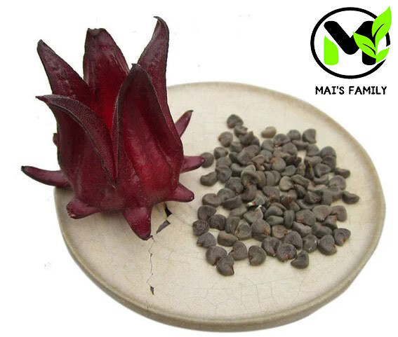 Roselle Seeds, Hoa Bụt Giấm, Asian Sour Leaf Red Sorrell Hibiscus sabdariffa gallery