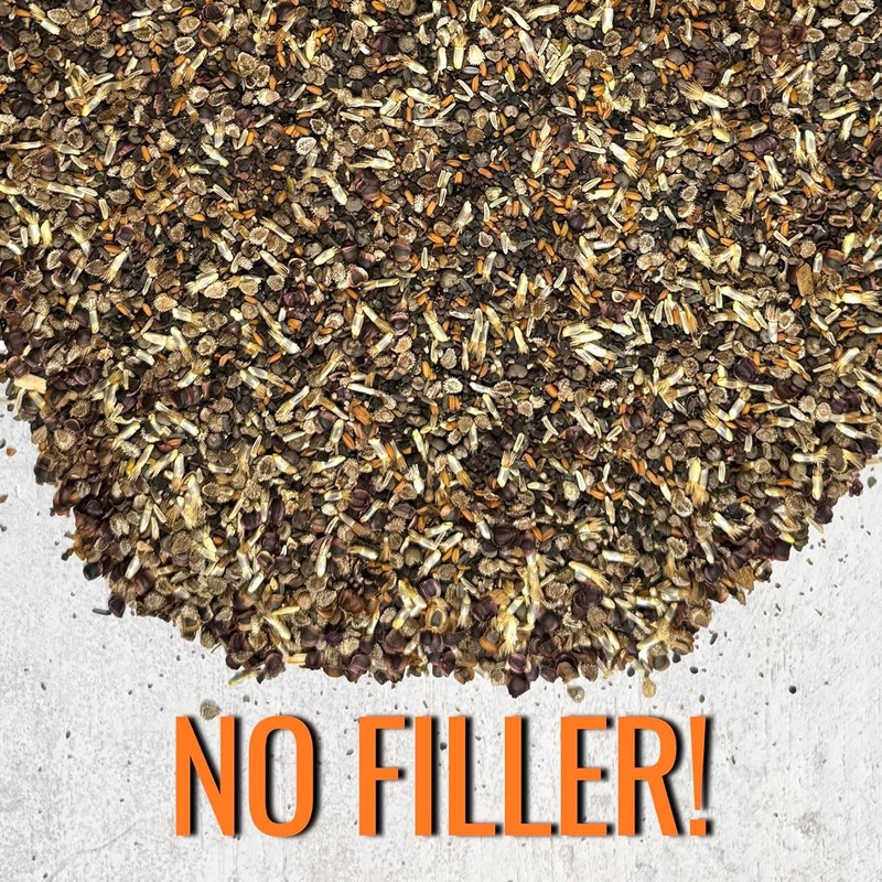 Vibrant Partial Shade Wildflower Seed Mix | 1 Oz, Attracts Butterflies, 14+ V... gallery