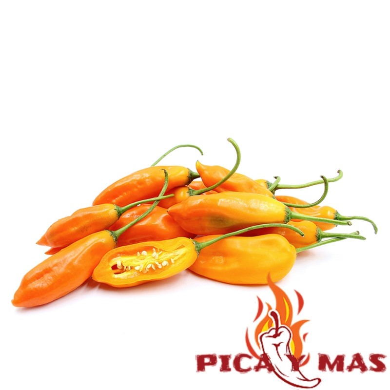 30 AJI LEMON CHILLI PERU CEVICHE CHILLI SEEDS SEEDS 100% GUARANTEED gallery