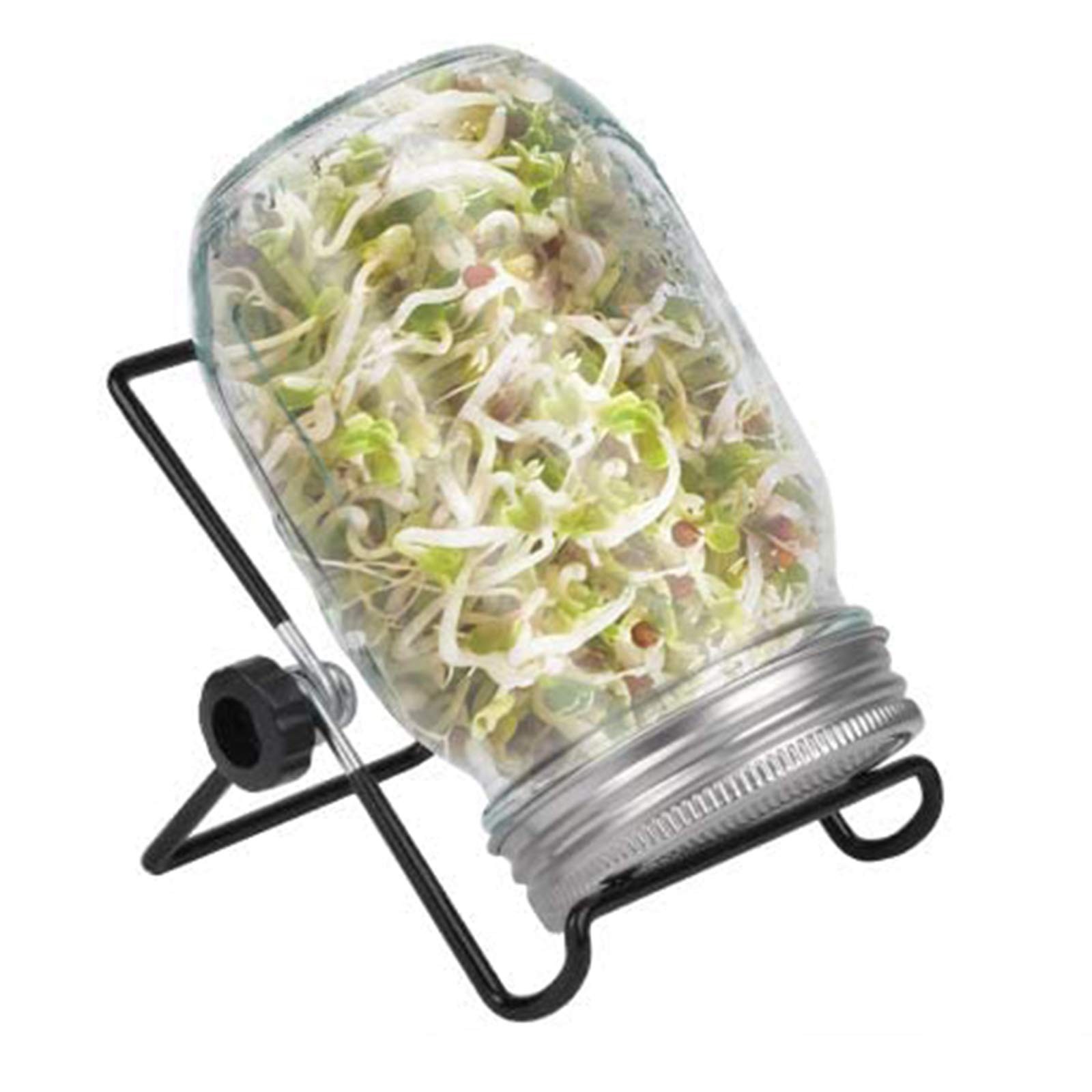 Organic Sprouting Jar Kit for Broccoli, Alfalfa, Mung & Bean Microgreens gallery