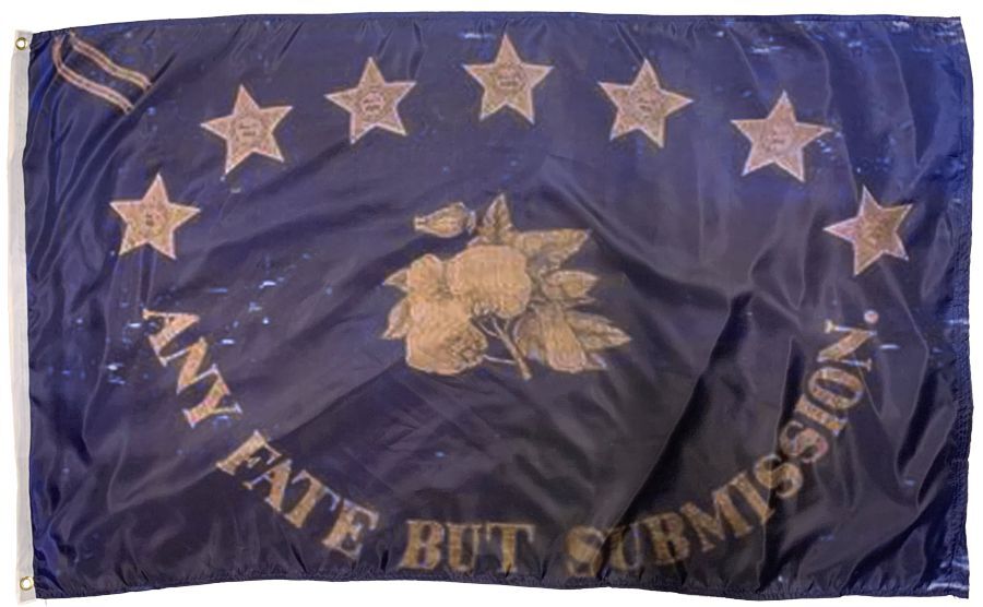 3rd Florida Infantry Regiment St. Augustine Blues 3x5 Flag gallery