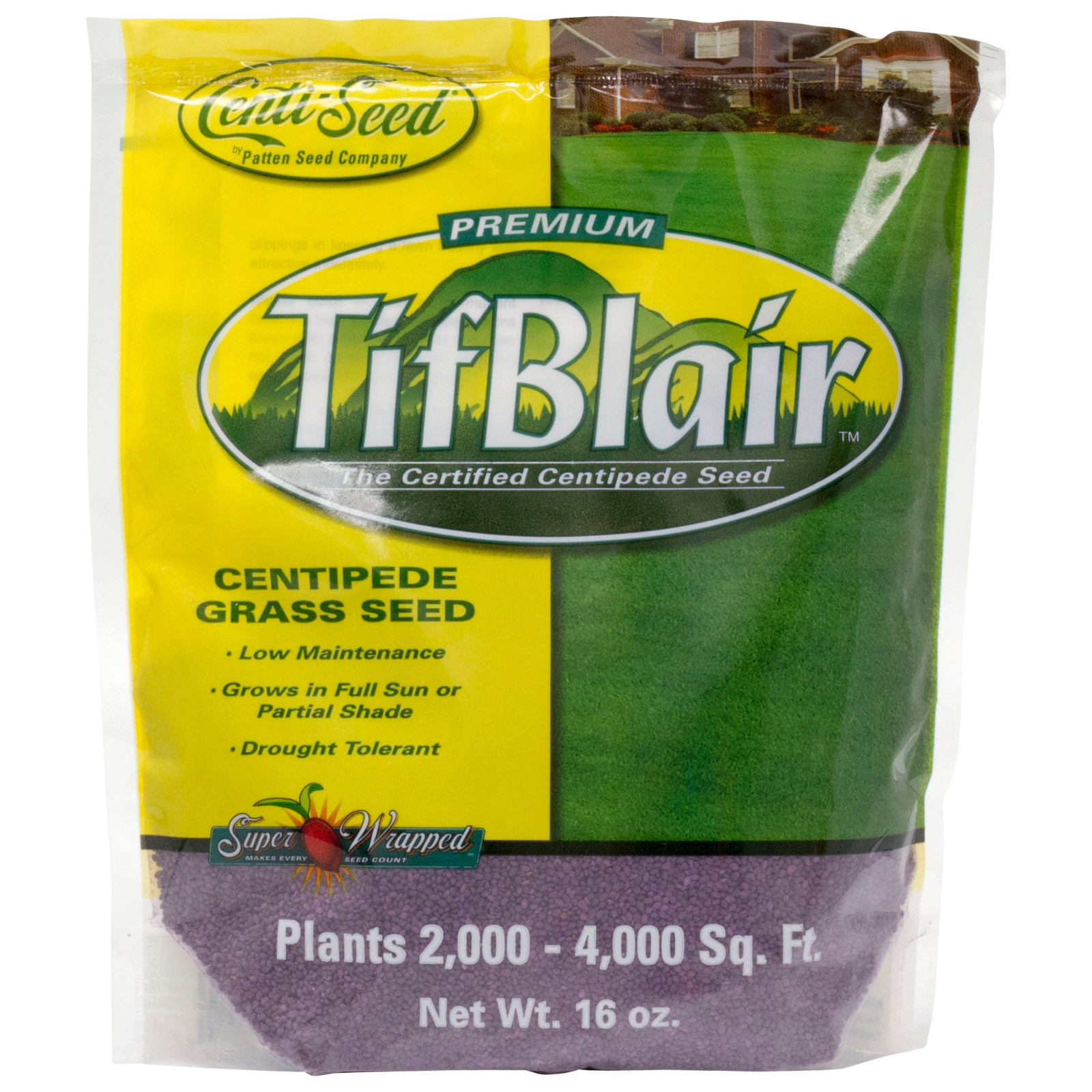 TifBlair Centipede Grass Seed 1 Lb Plants 2k - 4k Sq Ft For Sun or Partial Shade gallery