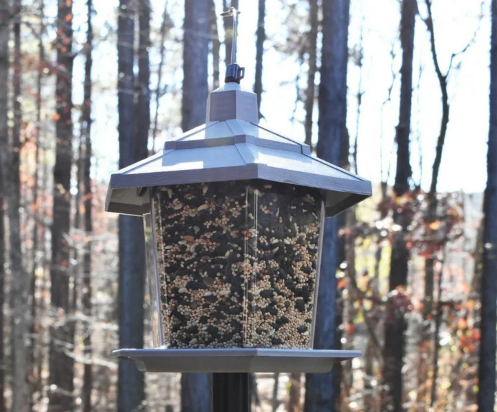 Pennington Earth Smart, Gray Plastic, Hopper Wild Bird Feeder, 2.5 lb. Capacity gallery