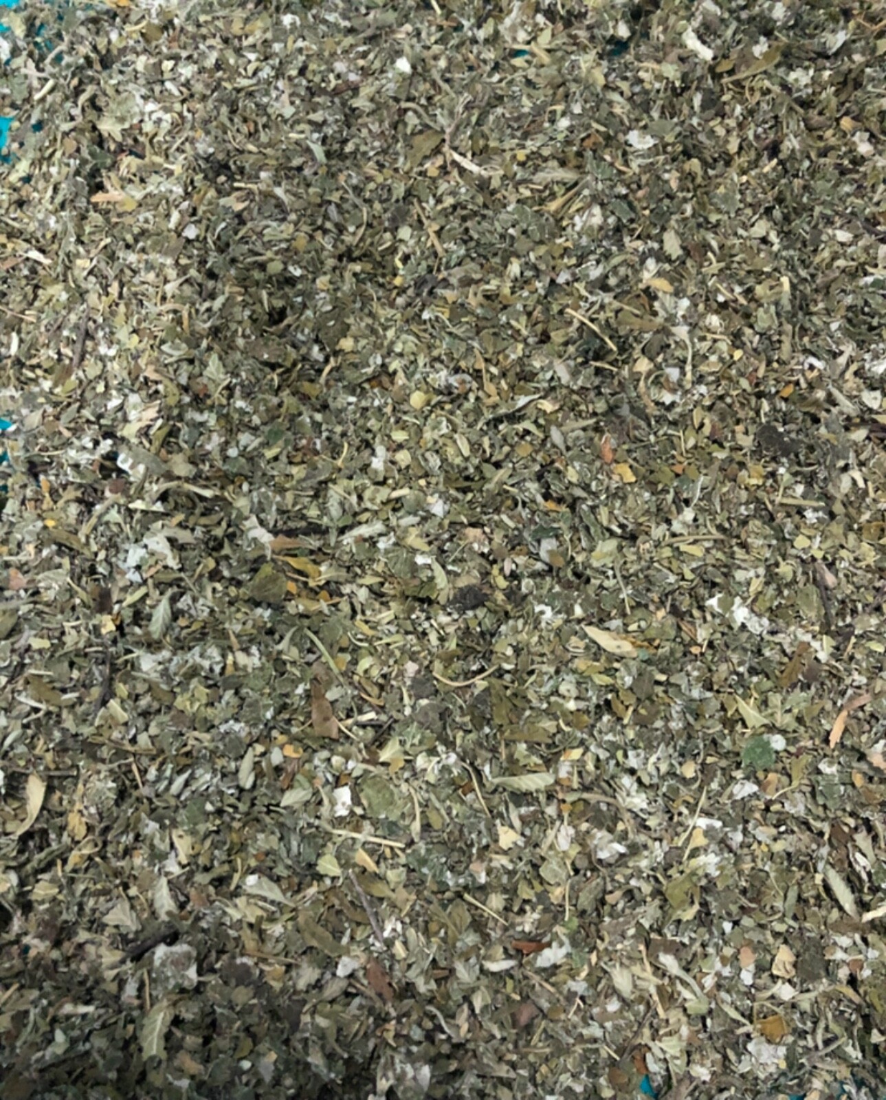 Damiana + Raspberry Leaf Organic Healing Medicinal Quality Herb Tea Mix 1 POUND gallery
