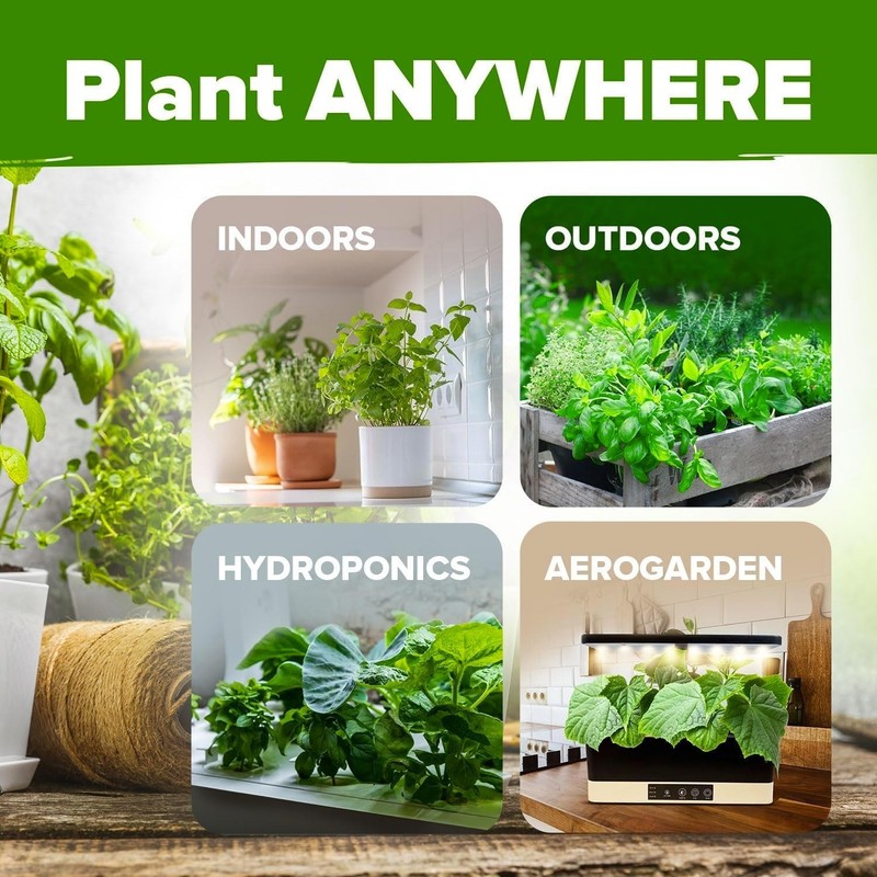 Complete Herb Growing Kit with 10 Culinary Seeds & Bonus Guide for Beginners gallery