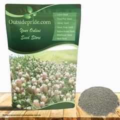 10 LBS – Inoculated Arrowleaf Clover Seeds – Trifolium Vesiculusom