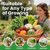 55 Vegetable Seeds Variety Pack - 39,000+ Heirloom Seeds for Planting Vegetab... gallery
