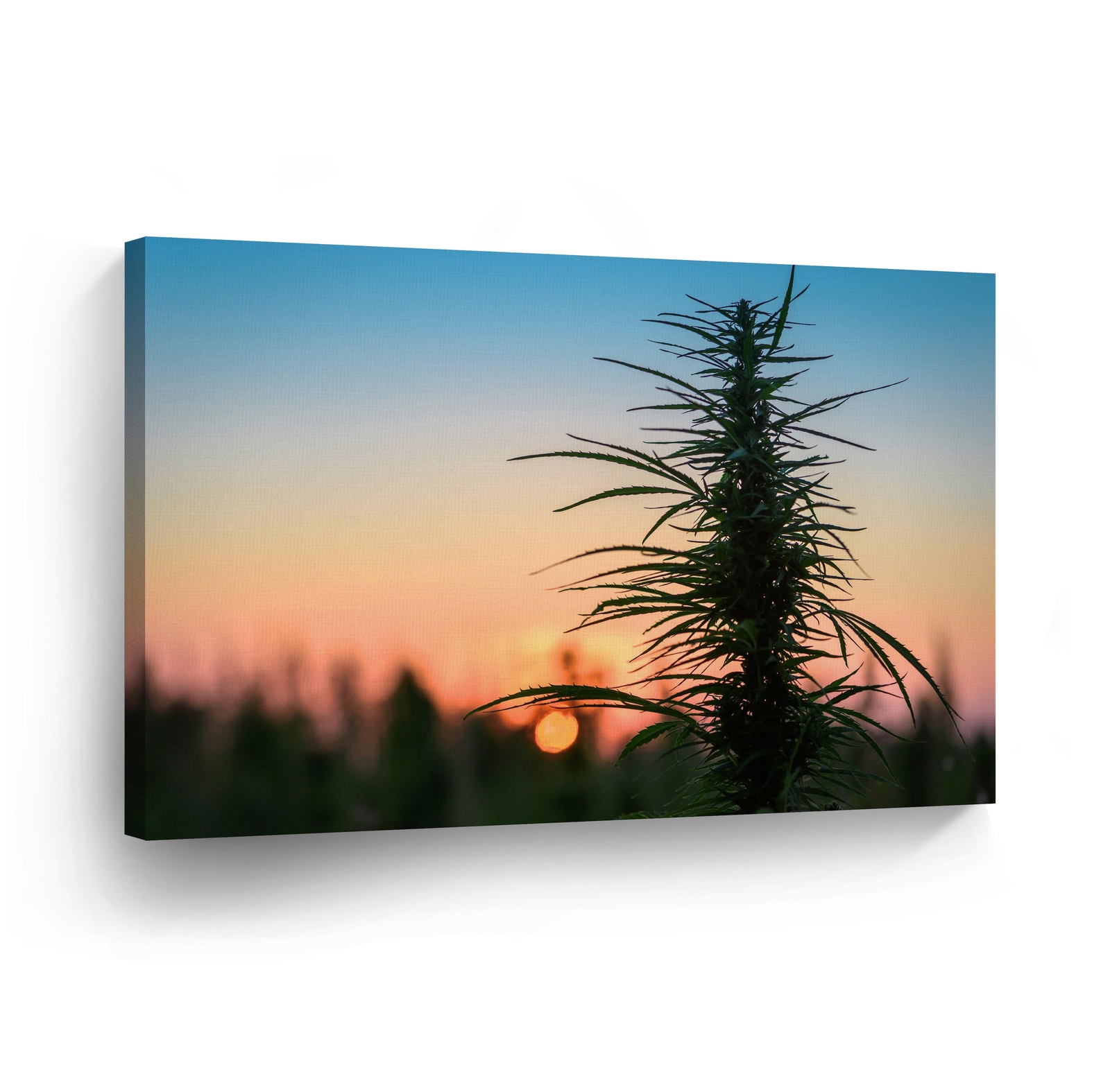 SMOKE WEED WALL ART Marijuana Leaf Plant Weed Get High Canvas Print Home Decor gallery