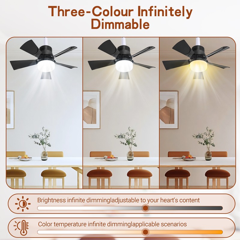 2 In 1 E27 Ceiling Socket Fan 30W with Dimmable LED Light Remote Control 3 Speed gallery