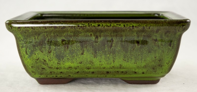 6" Rectangular Moss Green Shohin Bonsai Pot + Soil + Tray + Rock + Mesh Kit gallery