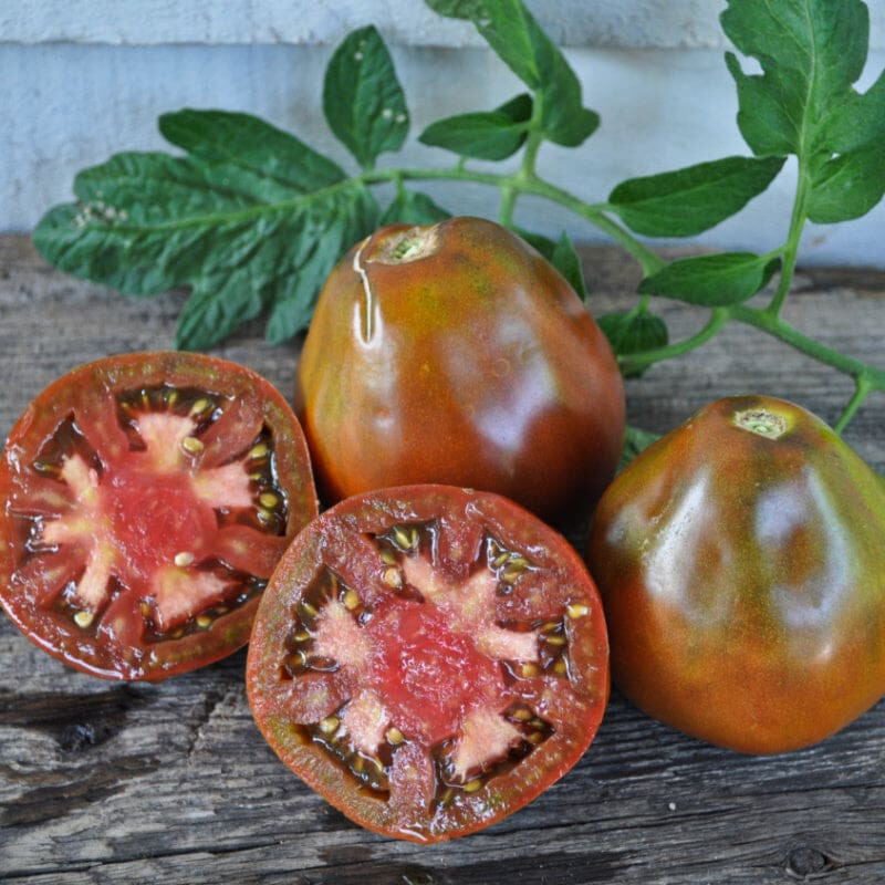 30 BLACK TRUFFLE TOMATO SEEDS ~ 2026 ~ heirloomseedguy ~ USA gallery