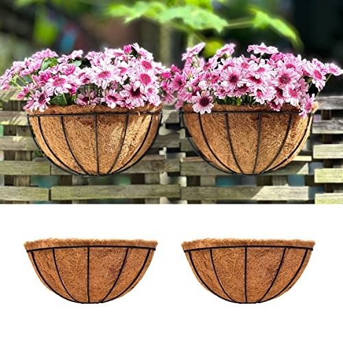 LaLaGreen Wall Hanging Planters, 2 Pack, 12 Inch Wall 12" (30 cm) x 2 Pack gallery