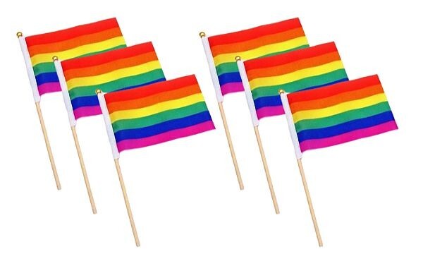 12 Pack Rainbow Pride Flag 4x6 Inch 4" x 6" Hand Flag On Stick LGBTQ LGBTQIA+ gallery