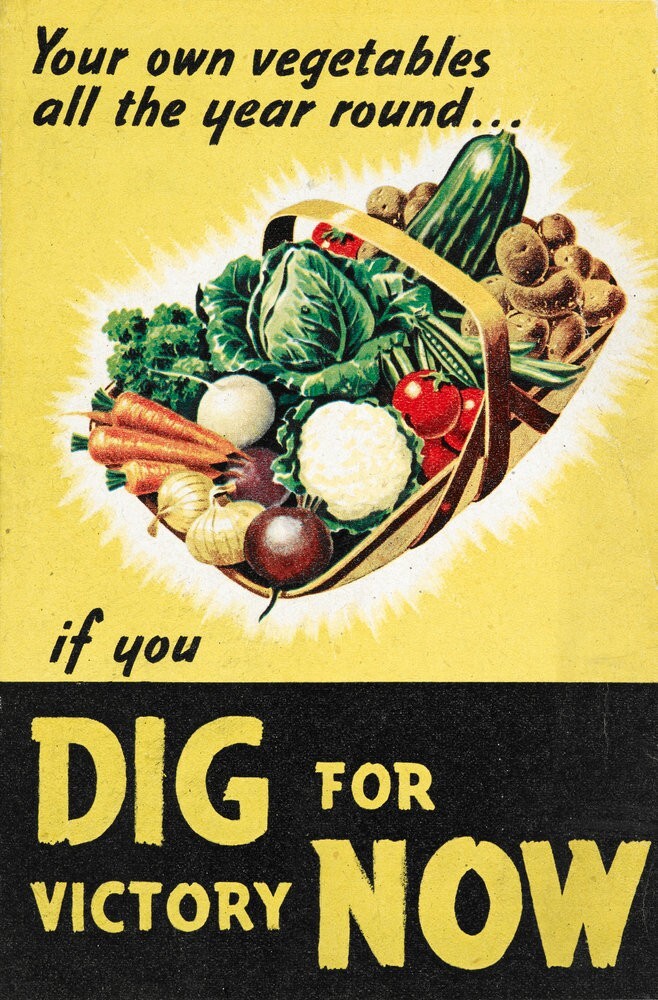 NON-GMO Vegetable Seeds 21 Varieties Garden Emergency Survival Heirloom Seed Kit gallery
