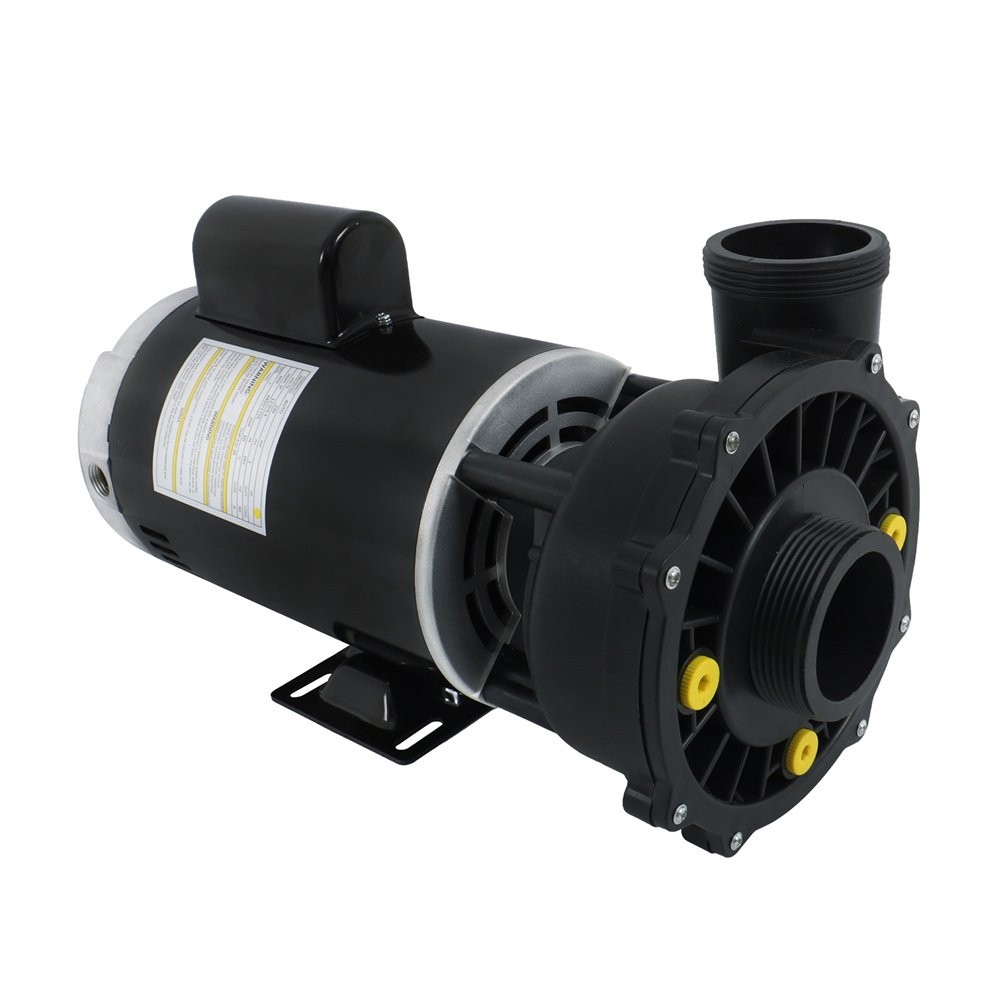 Executive 56-Frame 4HP Dual-Speed Spa Pump, 2in Intake, 2in Discharge gallery
