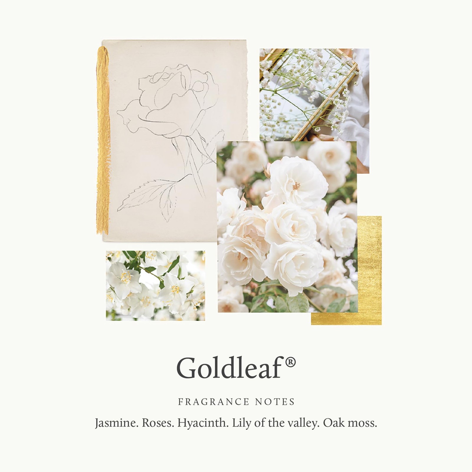 Fragrance Mist 3 Oz Goldleaf gallery