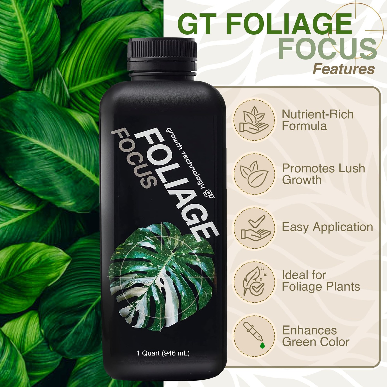 Liquid Indoor Plant Food – Concentrated Formula for Houseplants & Tropicals gallery