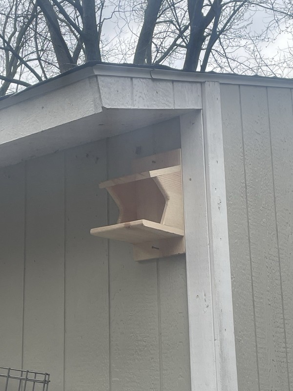 Pine Wood Robin Nesting Box~Dove Nesting Box~Cardinal Home~phoebe Nesting Box gallery