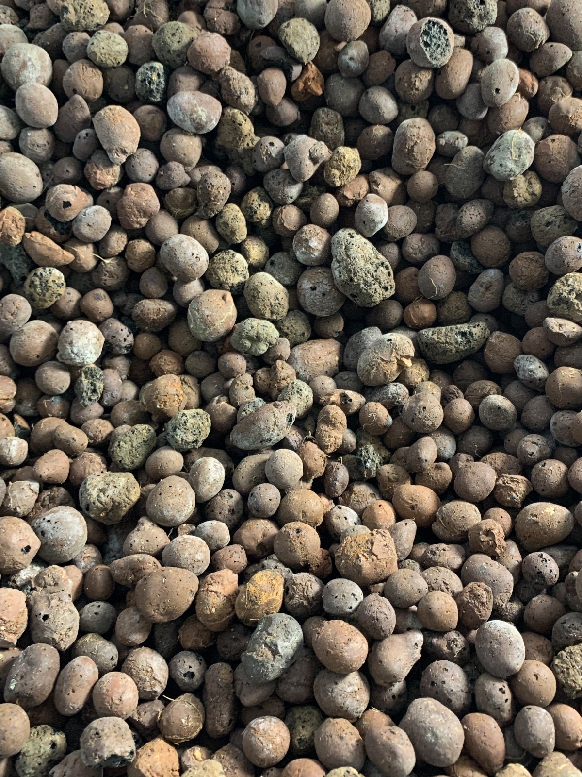 15LBS 15 pounds ~ Clay Pebbles Lightweight Clay Growing Balls for Plants gallery