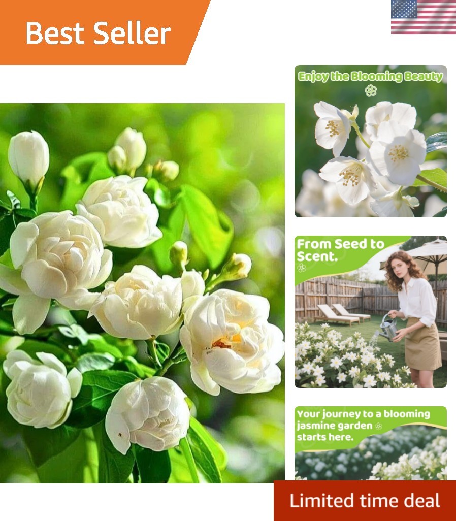 400+ Climbing Jasmine Flower Seeds for Planting – Easy to Grow, Non-GMO, High... gallery