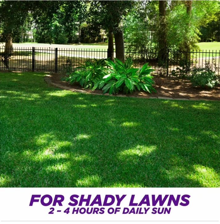 PENNINGTON GRASS SEED Dense Shade Patch & Repair Mix, Partial to Full Shade gallery