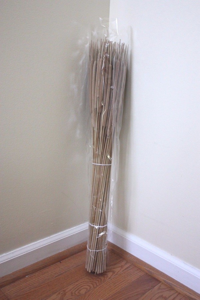 Light Brown Tan Cattails Decorative Floral Design Use 25-stem bun (1, 2, 3 bun)