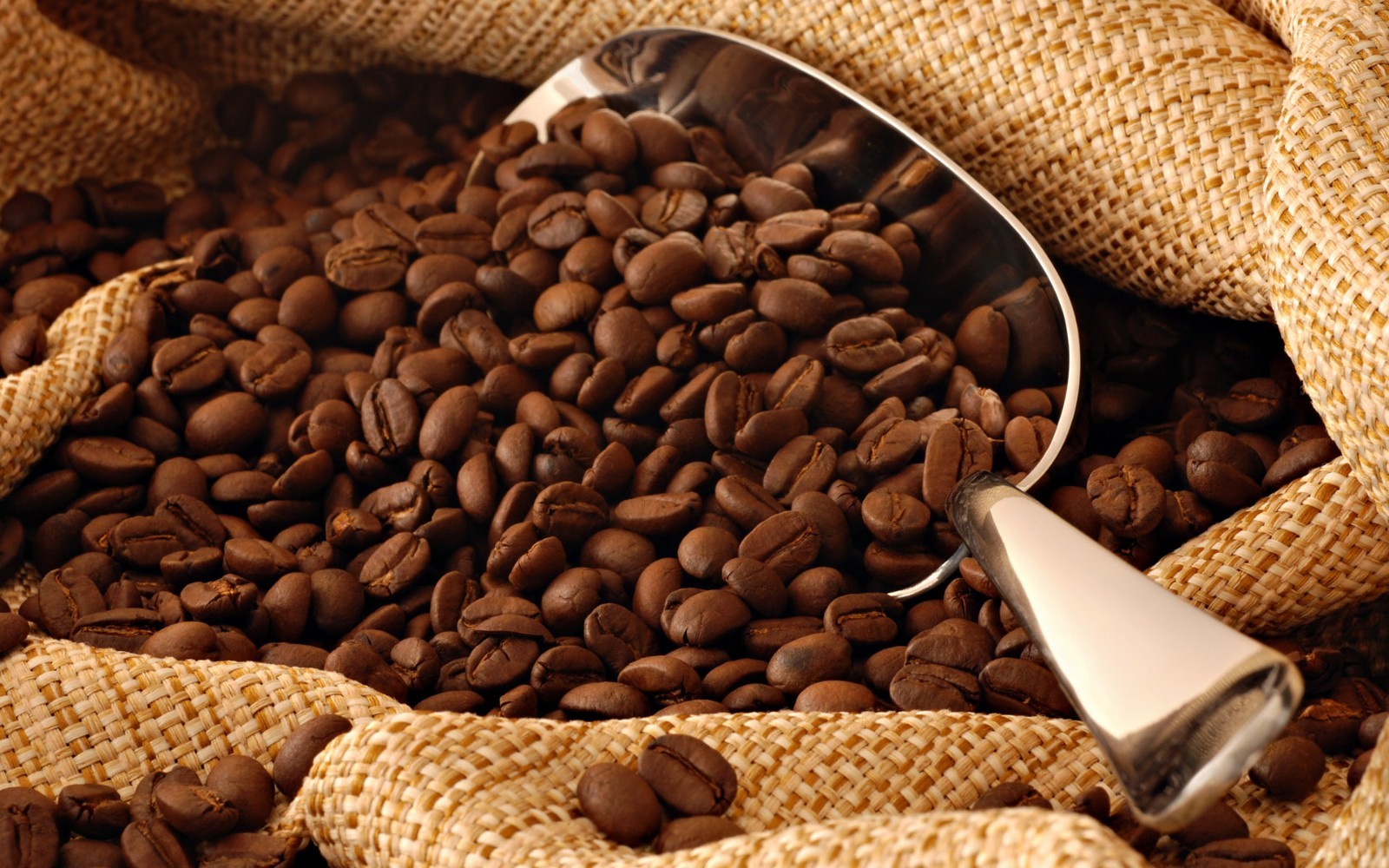 100% Colombian Coffee Beans Fresh Roasted 30lb Case 6 Bags 5 lbs Ea Med Roast gallery