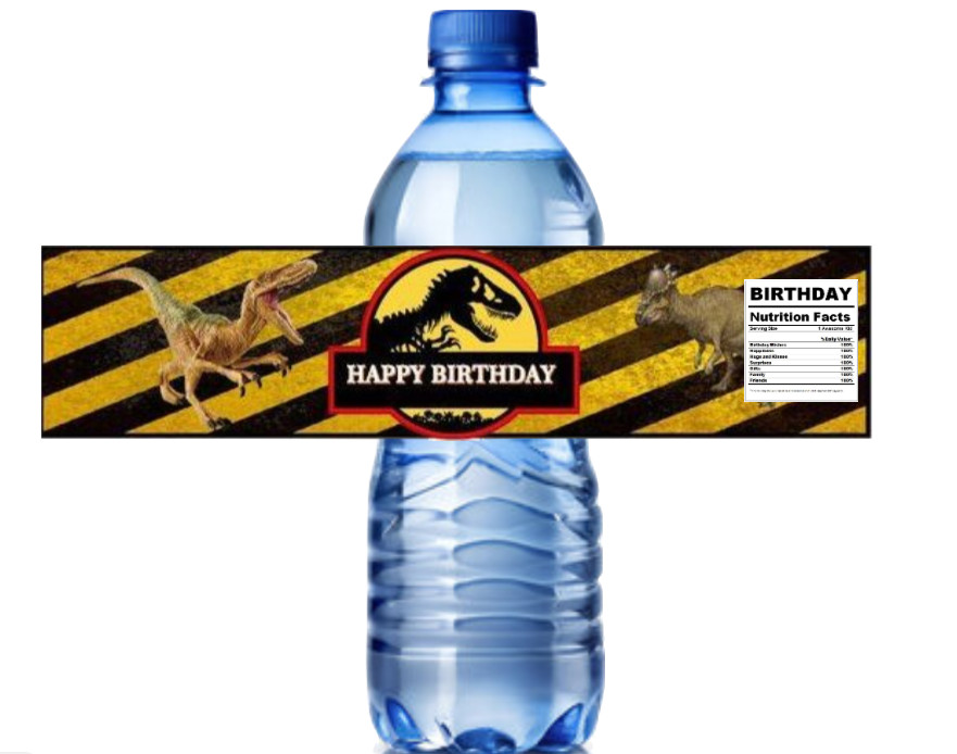 Dinosaur Theme Birthday Water Bottle Labels, Happy Birthday Design, 8.5x2 inches gallery