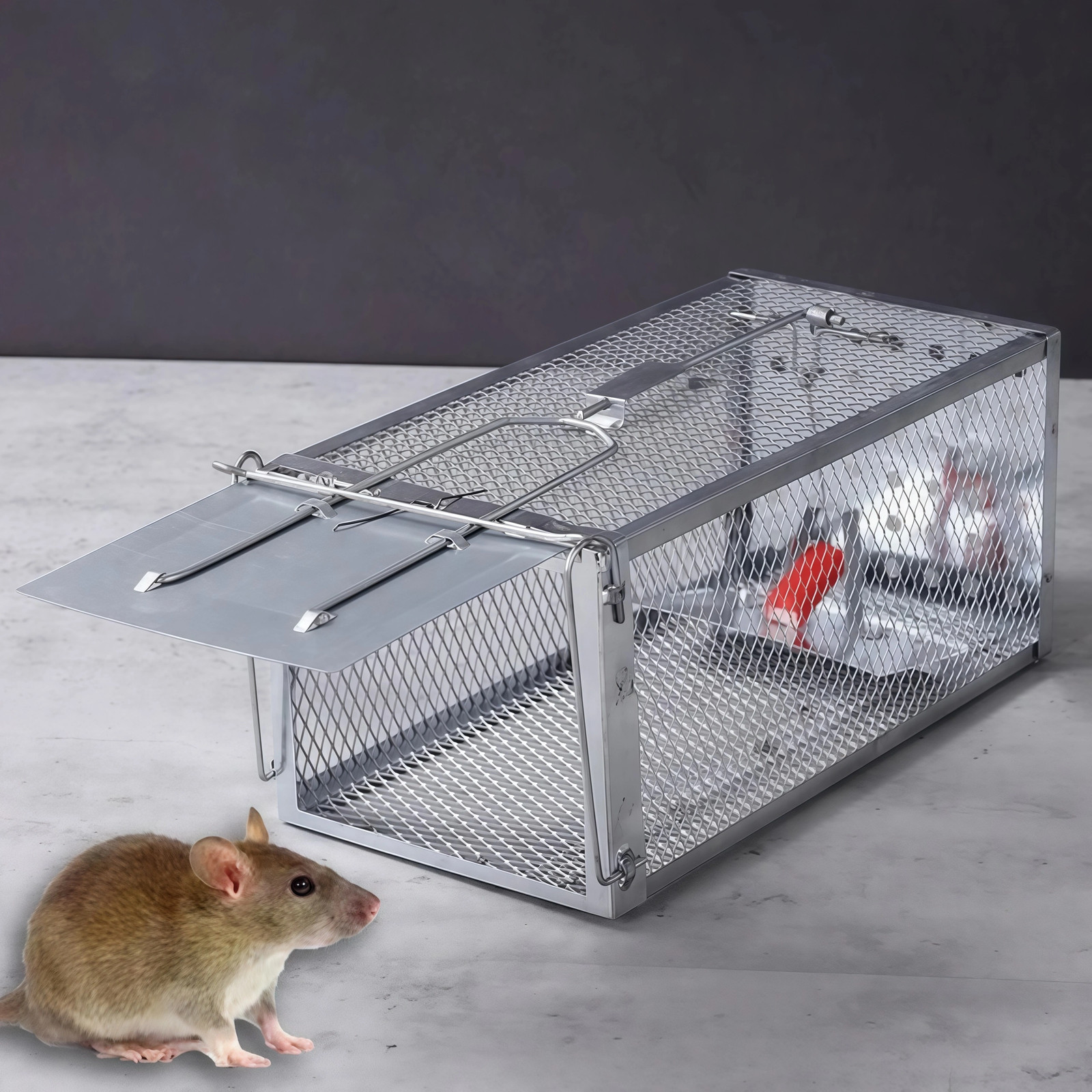 Rat Trap Cage Small Live Animal Pest Rodent Mouse Control Catch Hunting Trap US gallery