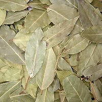 Bay Leaf Whole - 1/2oz bag Atlantic Spice gallery