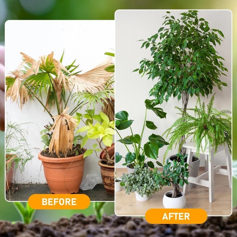 2Pcs Soil Activator, Professional Bone Meal Fertilizer, Dirt Health Booster, Liq gallery