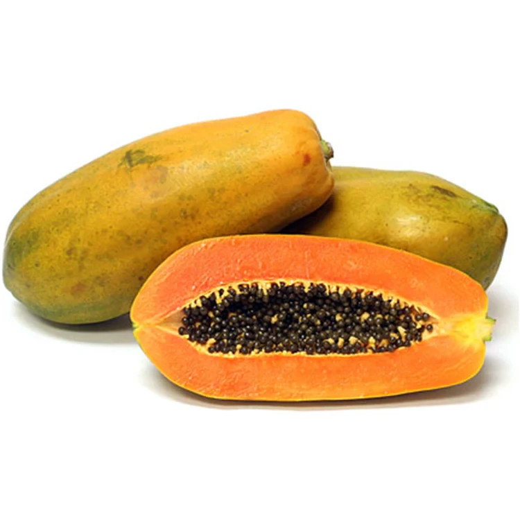 Papaya Seedss var. California 150 pcs (Carica papaya) Red Pawpaw gallery