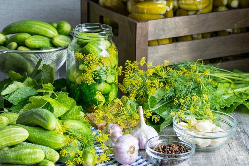 150 BOSTON PICKLING CUCUMBER Heirloom Cucumis Sativus Fruit Vegetable Seeds gallery
