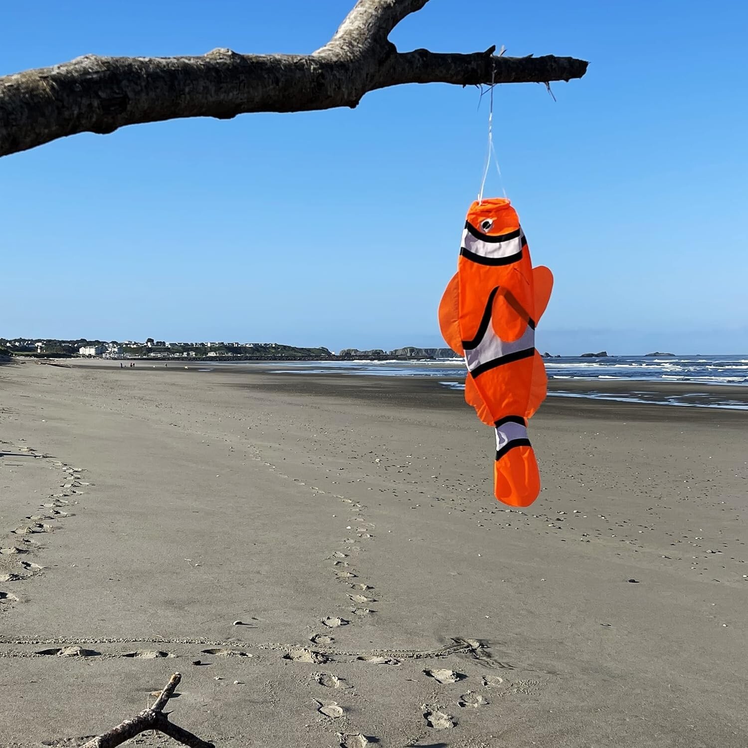 WINDSOCK--24" CLOWN FISH Windsock, Diva, Spinner by In the Breeze #4967 gallery