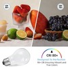 75 Watt Incandescent Light Bulbs, A19 75 WATT Incandescent Bulb Shatter gallery