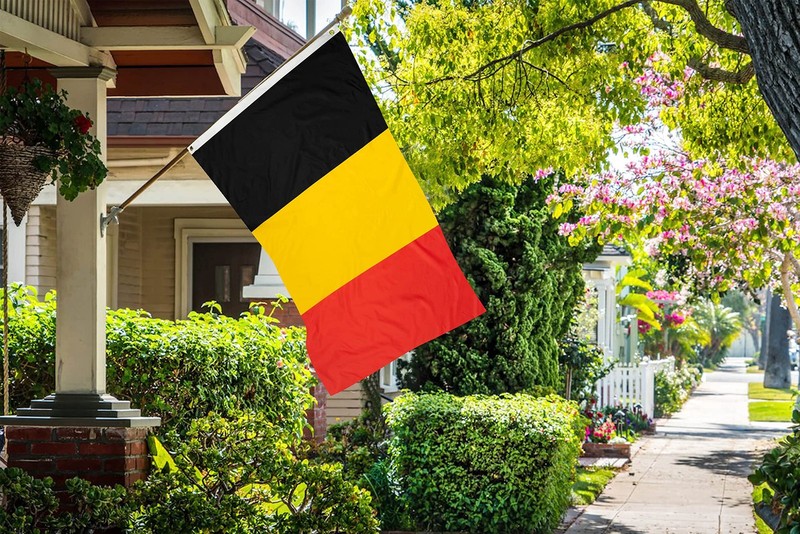 DANF Belgium Flag 3x5 Ft Thick Polyester, Fade Resistant, Brass Grommets, Canvas gallery