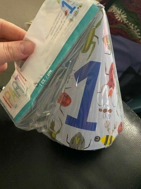 First Birthday Party Hat With Bugs New!!! gallery