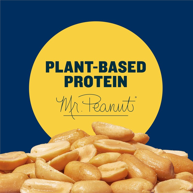 PLANTERS Dry Roasted Peanuts, Plant-Based Protein, 16 Ounce (Pack of 1) gallery