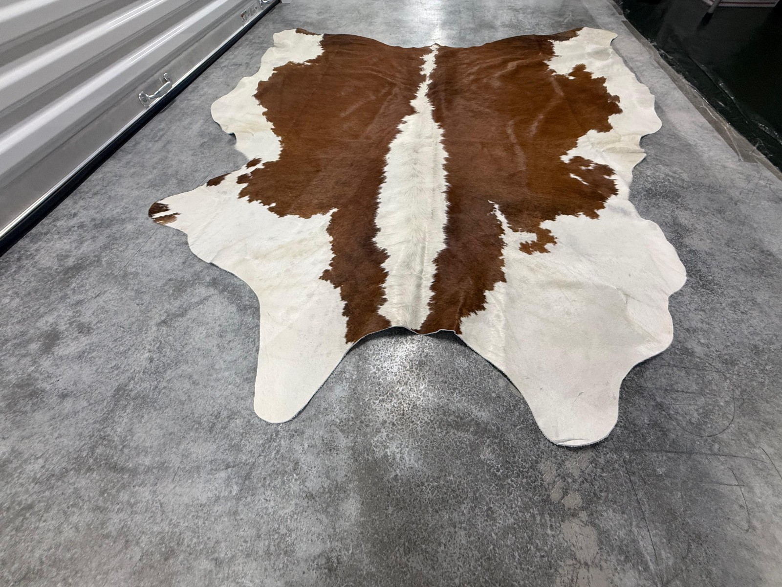 Brown Hereford Exotic Cowhide Rug 66"x62" (5.5x5.2 ft) | Genuine Leather #027 gallery