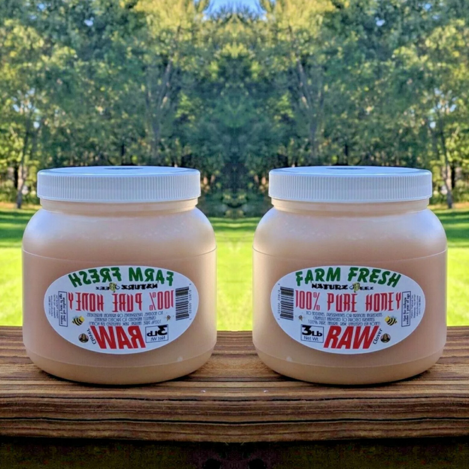 RAW HONEY CLOVER (2 Jars = 6Lbs) 3 LBS Ea 100% PURE RAW gallery